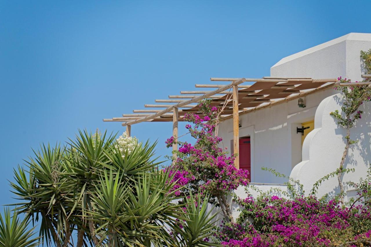 Ailouros Summer Hotel Schoinoussa Esterno foto